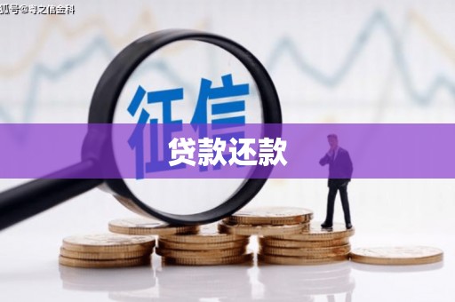 蒲城贷款还款