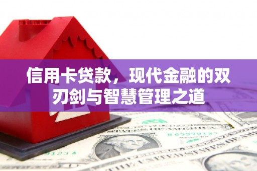 蒲城信用卡贷款，现代金融的双刃剑与智慧管理之道