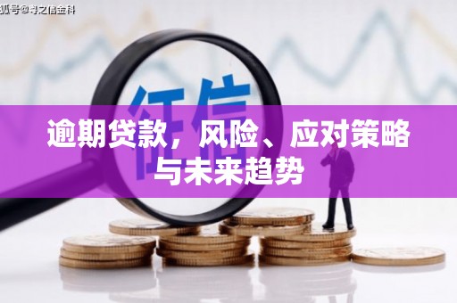 蒲城逾期贷款，风险、应对策略与未来趋势