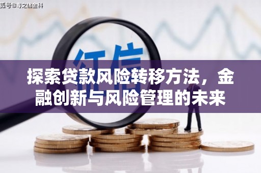 蒲城探索贷款风险转移方法，金融创新与风险管理的未来
