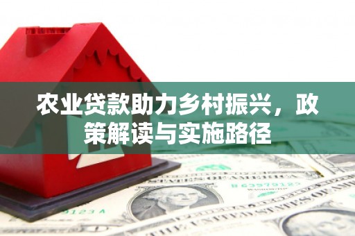 蒲城农业贷款助力乡村振兴，政策解读与实施路径
