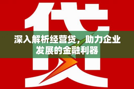 蒲城深入解析经营贷，助力企业发展的金融利器