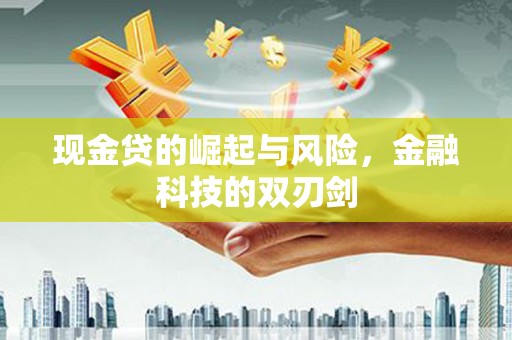 蒲城现金贷的崛起与风险，金融科技的双刃剑