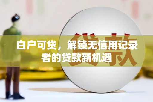蒲城白户可贷，解锁无信用记录者的贷款新机遇