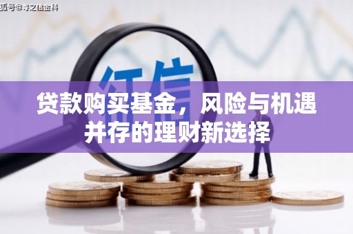 蒲城贷款购买基金，风险与机遇并存的理财新选择