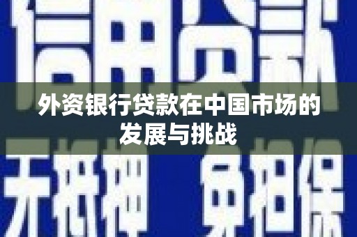 蒲城外资银行贷款在中国市场的发展与挑战