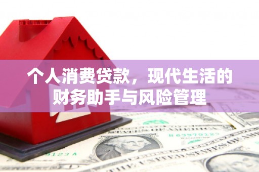 蒲城个人消费贷款，现代生活的财务助手与风险管理