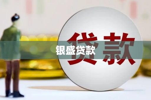 蒲城银盛贷款