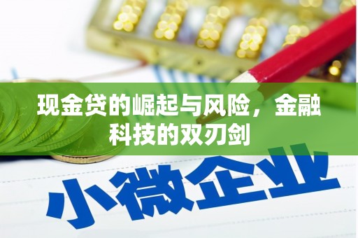 蒲城现金贷的崛起与风险，金融科技的双刃剑