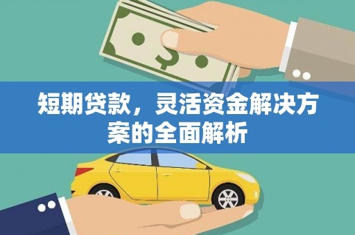 蒲城短期贷款，灵活资金解决方案的全面解析