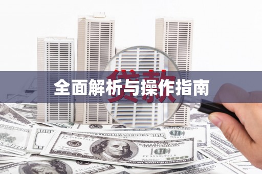 蒲城全面解析与操作指南