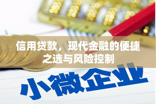 蒲城信用贷款，现代金融的便捷之选与风险控制