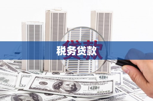 蒲城税务贷款