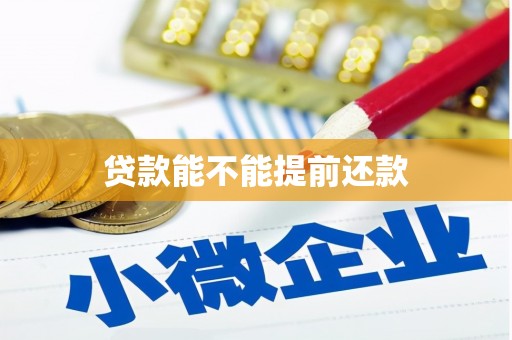 蒲城贷款能不能提前还款