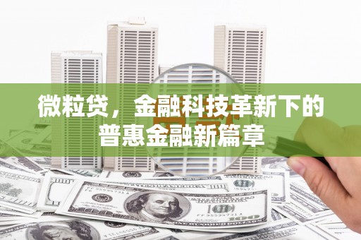 蒲城微粒贷，金融科技革新下的普惠金融新篇章