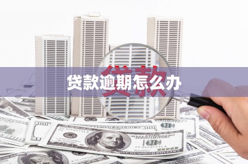 蒲城贷款逾期怎么办