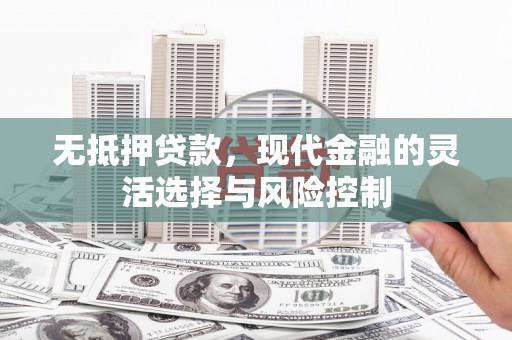 蒲城无抵押贷款，现代金融的灵活选择与风险控制