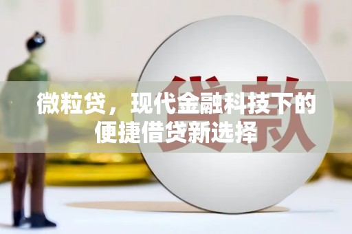 蒲城微粒贷，现代金融科技下的便捷借贷新选择