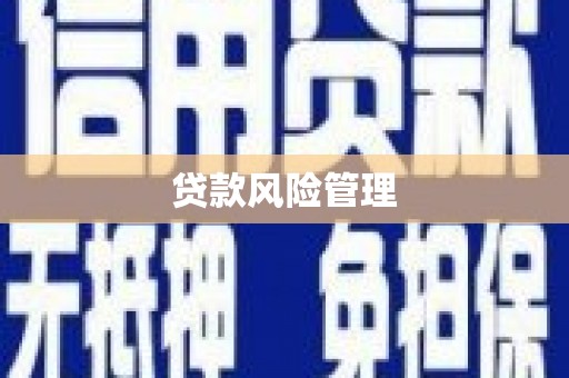 蒲城贷款风险管理