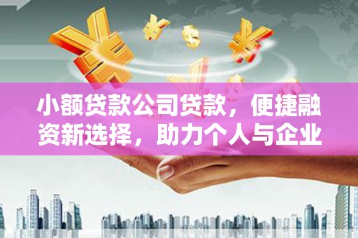 蒲城小额贷款公司贷款，便捷融资新选择，助力个人与企业成长