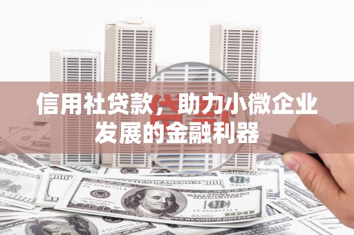 蒲城信用社贷款，助力小微企业发展的金融利器