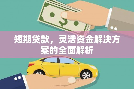 蒲城短期贷款，灵活资金解决方案的全面解析