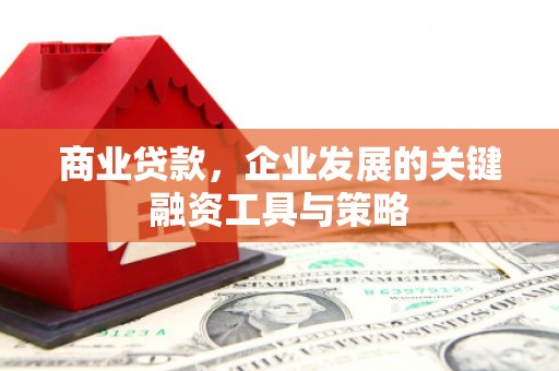 蒲城商业贷款，企业发展的关键融资工具与策略