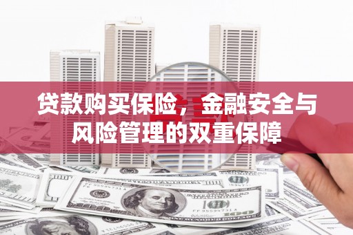 蒲城贷款购买保险，金融安全与风险管理的双重保障