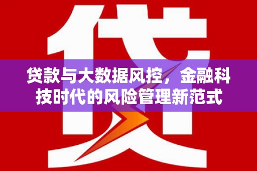 蒲城贷款与大数据风控，金融科技时代的风险管理新范式