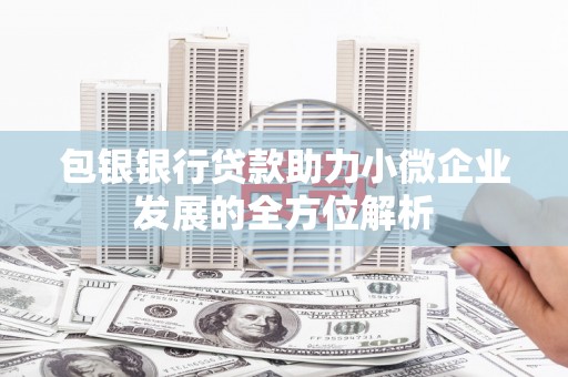 蒲城包银银行贷款助力小微企业发展的全方位解析