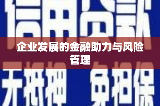 蒲城企业发展的金融助力与风险管理