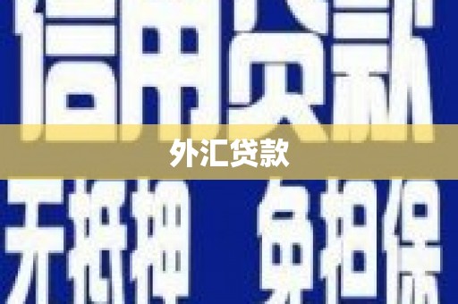 蒲城外汇贷款