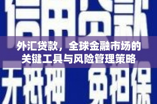 蒲城外汇贷款，全球金融市场的关键工具与风险管理策略