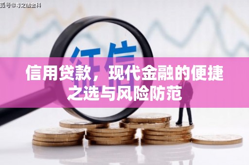 蒲城信用贷款，现代金融的便捷之选与风险防范