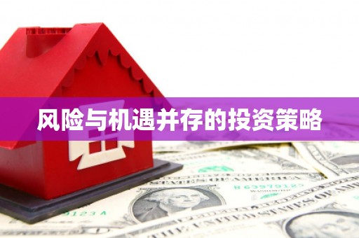 蒲城风险与机遇并存的投资策略