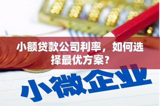 蒲城小额贷款公司利率，如何选择最优方案？