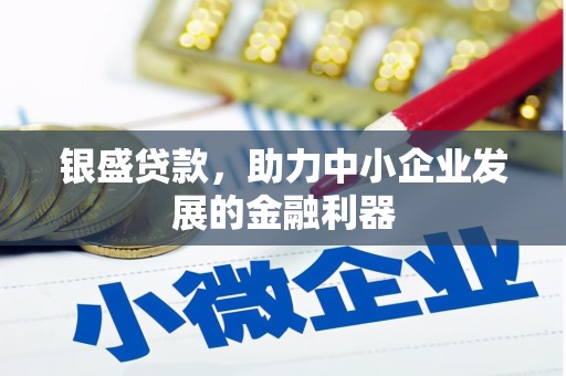 蒲城银盛贷款，助力中小企业发展的金融利器