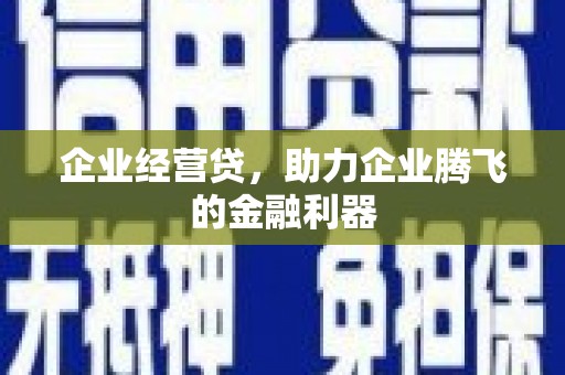 蒲城企业经营贷，助力企业腾飞的金融利器