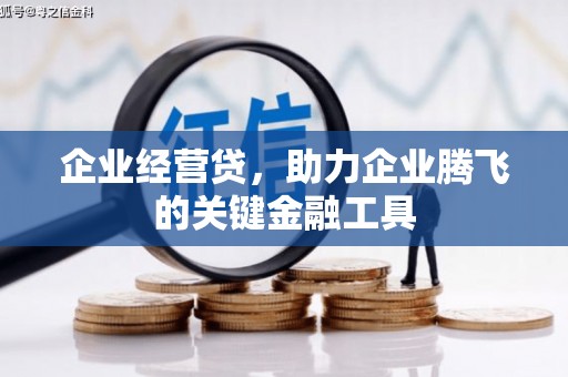 蒲城企业经营贷，助力企业腾飞的关键金融工具