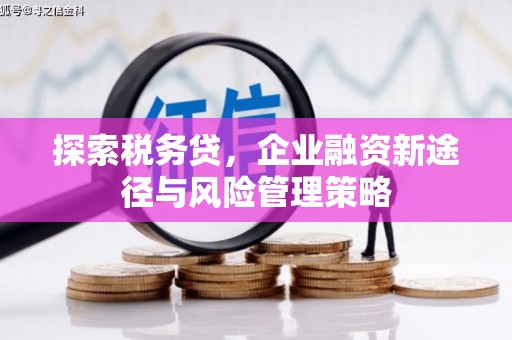 蒲城探索税务贷，企业融资新途径与风险管理策略