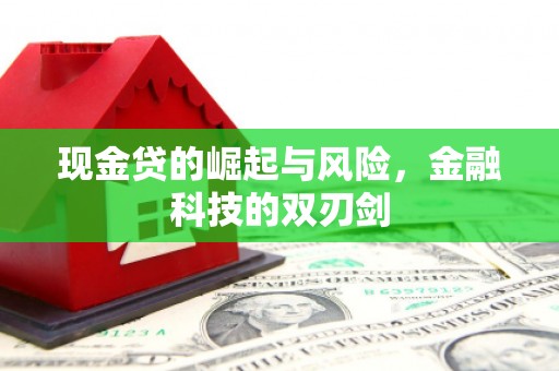 蒲城现金贷的崛起与风险，金融科技的双刃剑