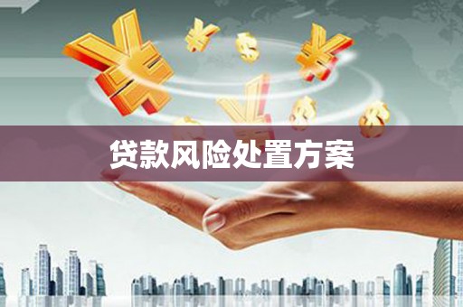 蒲城贷款风险处置方案