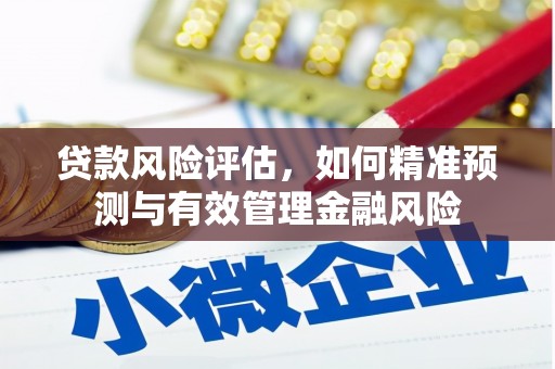 蒲城贷款风险评估，如何精准预测与有效管理金融风险