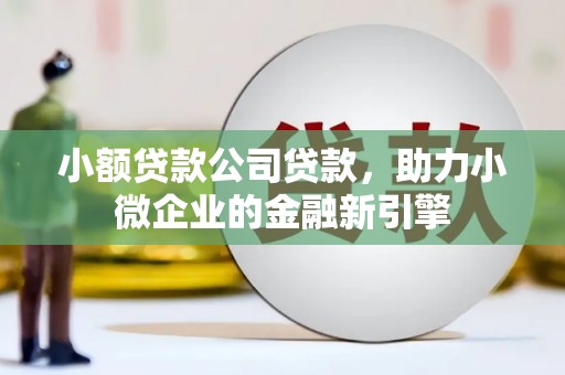 蒲城小额贷款公司贷款，助力小微企业的金融新引擎
