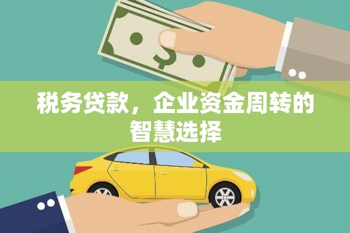 蒲城税务贷款，企业资金周转的智慧选择