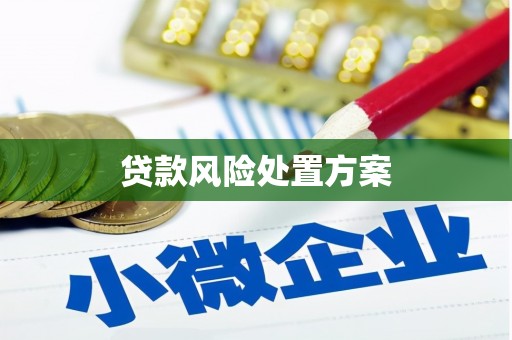 蒲城贷款风险处置方案
