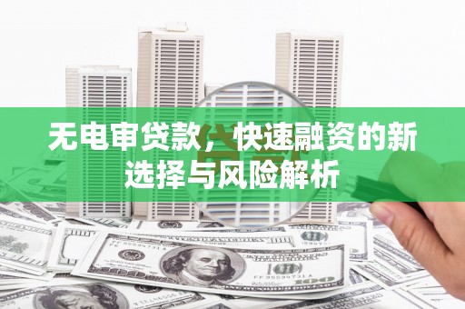 蒲城无电审贷款，快速融资的新选择与风险解析