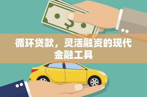 蒲城循环贷款，灵活融资的现代金融工具