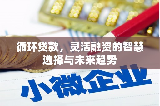 蒲城循环贷款，灵活融资的智慧选择与未来趋势