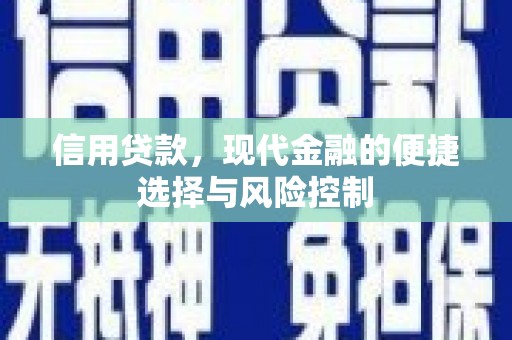 蒲城信用贷款，现代金融的便捷选择与风险控制